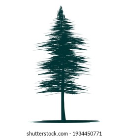 Abstract pine tree background. Vector illustration