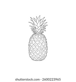 Abstract pineapple icons set in outline style. Creative, flat logo design, symbol, emblem or icon of tropical fruit in a modern abstract style. Vector illustration.