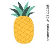 Abstract pineapple illustration. Vector illustration of tropical fruit in cartoon style.