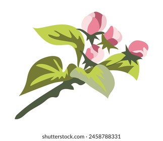 Abstract pink buds on tree branch in flat design. Beautiful springtime bloom. Vector illustration isolated.