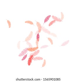 Abstract pink flamingo feathers vector background. Quill plumelet silhouettes illustration. Bird wing plumage boho line art. Flying feather elements airy vector design.