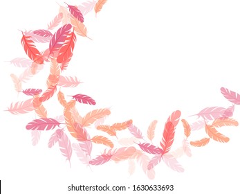 Abstract pink flamingo feathers vector background. Falling feather elements soft vector design. Decoration confetti of carnival plumelet. Plumage bohemian fashion shower decor.