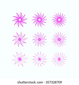 Abstract pink flower bloom set on white background, vector illustration