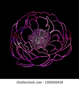 Abstract pink flower line. Vector