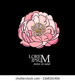 Abstract pink flower line. Vector