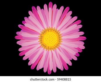 abstract pink flower vector illustration