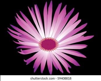 abstract pink flower vector illustration