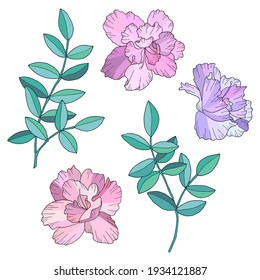 Abstract pink flowers and green branches with leaves. Hand drawn vector illustration. Isolated on white background.