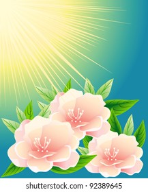 Abstract pink flowers in the sky and the sun.
