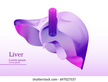 Abstract pink illustration of liver section
