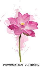Abstract of pink lotus flower with color spread background.