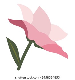 Abstract pink petals lilly in flat design. Blooming flower with leaves. Vector illustration isolated.