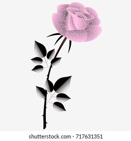 Abstract pink rose.