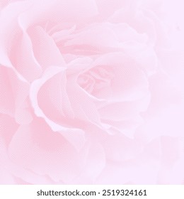 abstract pink rose flower vector background