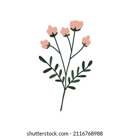 Abstract pink wildflower isolated on white background. Wild flower floral botanical plant. Meadow and field herb. Delicate spring flower illustration in hand drawn flat style 