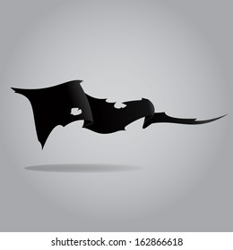 abstract pirate flag vector