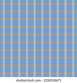Abstract Plaid Checkered Gingham Style Vector Stripes Seamless Pattern Look Diagonal Textured Lines Trendy Fashion Colors Perfect for Allover Fabric Print or Wrapping Paper Sky Blue Tones
