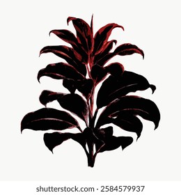 Abstract plant art featuring dark red and black leaves. The plant's leaves are layered, creating a striking contrast. Bold red and black plant design. Vintage art illustration, vector.