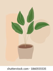 Abstract plant background vector illustration 