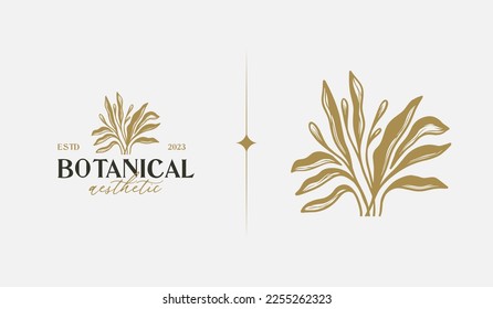 Abstract Plant Botanical Flower Line Art Line Drawing. Universal creative premium symbol. Vector illustration. Creative Minimal design template