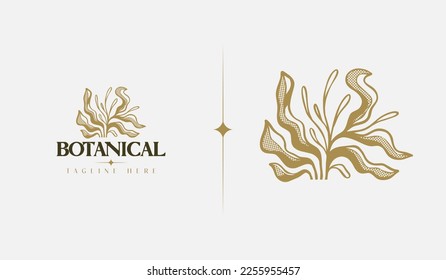 Abstract Plant Botanical Flower Line Art Line Drawing. Universal creative premium symbol. Vector illustration. Creative Minimal design template