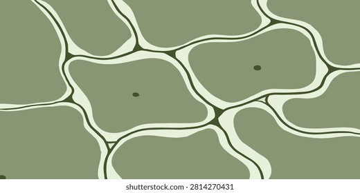 Abstract plant cell structure background. Vector illustration of green organic cellular pattern with cell walls and nuclei.