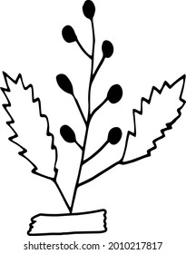 abstract plant glued with tape icon. hand drawn doodle. vector, scandinavian, nordic, minimalism, monochrome. plant herbarium scrapbooking