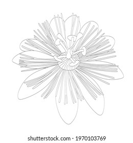 Abstract plant one line drawing. Hand drawn modern minimalistic design for creative logo, icon or emblem. Editable line

