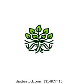 Abstract Plant with root fish