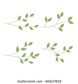 Abstract Plant Twigs Set Isolated Vector Stock Vector (Royalty Free ...