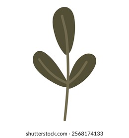 Abstract plant, white background, leaf illustration