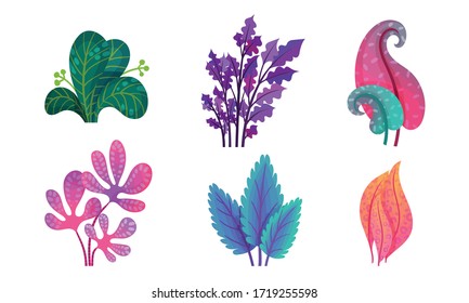 Abstract Plants with Fancy Shapes and Colors Vector Set