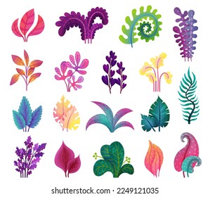 Resumen de plantas y follaje con formas y colores inusuales conjunto de grandes vectores