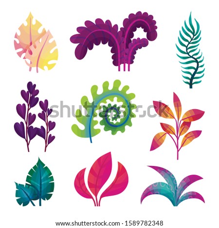 Abstract Plants Isolated On White Background Vector Set