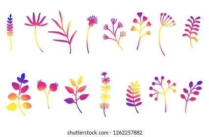 Abstract plants set for web design. Vector.