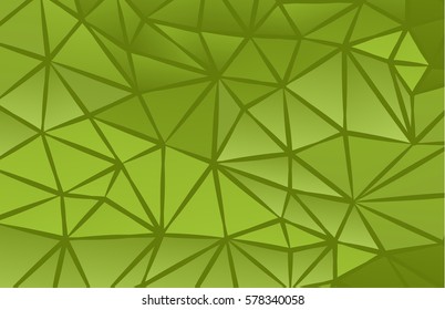 abstract polygon background with white net lines