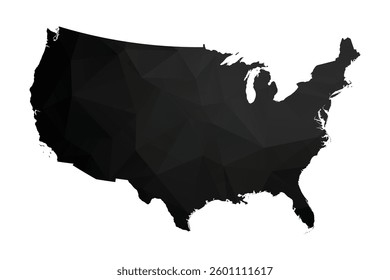 Abstract Polygon - Low Poly Color Black United States map. Vector Illustration eps10.