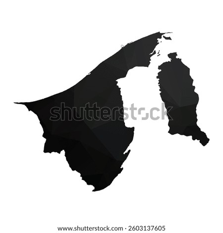 Abstract Polygon - Low Poly Color Black Brunei map. Vector Illustration eps10.