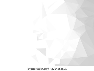 Abstract polygon white line background wall vector illustration.