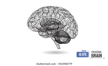 Abstract polygonal 3D wireframe of human brain side view vector illustration isolated on white background