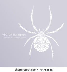 Abstract polygonal beetle. Geometric hipster illustration. Polygonal poster.