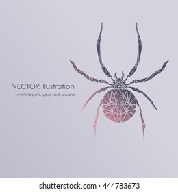 Abstract polygonal beetle. Geometric hipster illustration. Polygonal poster.