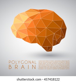 Abstract Polygonal Brain Shape : Vector Illustration