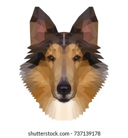 Abstract polygonal collie head. Modern low poly collie portrait pattern background for design t shirt, veterinary clinic poster, gift card, bag print, art workshop advertising etc.