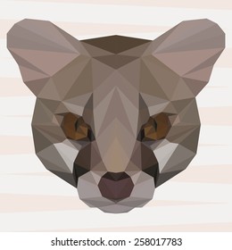 Abstract polygonal geometric triangle Genet (Genetta genetta,Genetta tigrina) background for use in design for card, invitation, poster, banner, placard or billboard cover