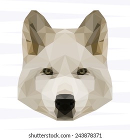 Abstract polygonal geometric triangle white wolf background for use in design