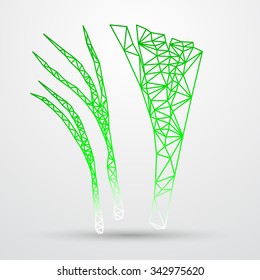 Abstract polygonal green onions and leeks. Geometric triangle design. Colorfuul line vector illustration