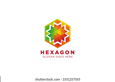 Abstract polygonal hexagon logo design template. Colorful triangle shape. 