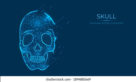 Resumen del cráneo humano poligonal hecho de líneas y puntos aislados sobre fondo azul. Ilustración vectorial de horror bajo