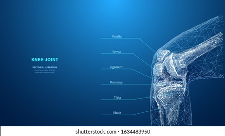 Abstract polygonal knee-joint on blue background. Infographic medicine technology innovation concept. Low poly wireframe digital skeleton of human. A knee. Bones from polygons lines and connected dots